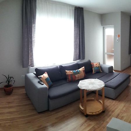 Theresia Apartment Hermannstadt Exterior foto